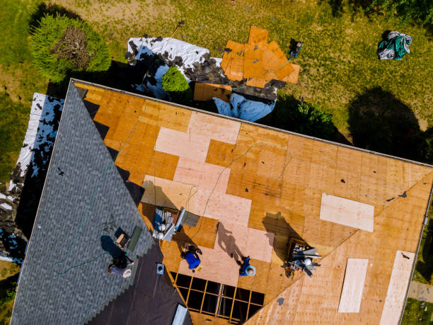 Best Roof Gutter Cleaning  in Bridgman, MI