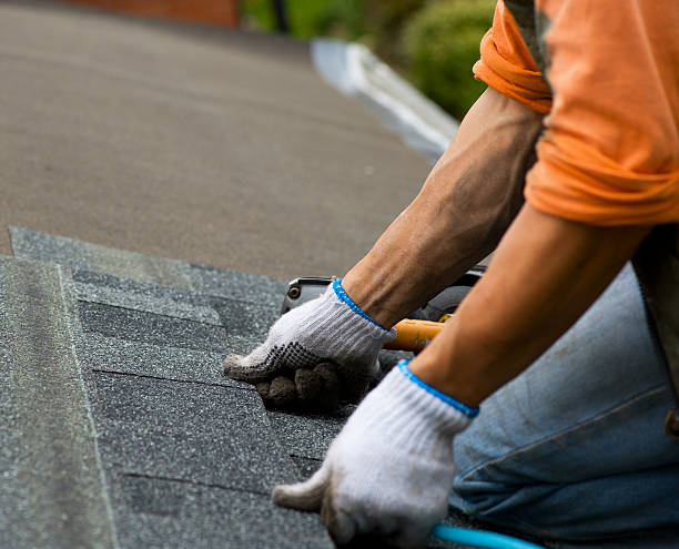 Roof Waterproofing Services in Bridgman, MI
