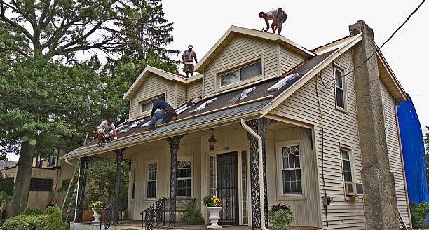 Sealant for Roof in Bridgman, MI