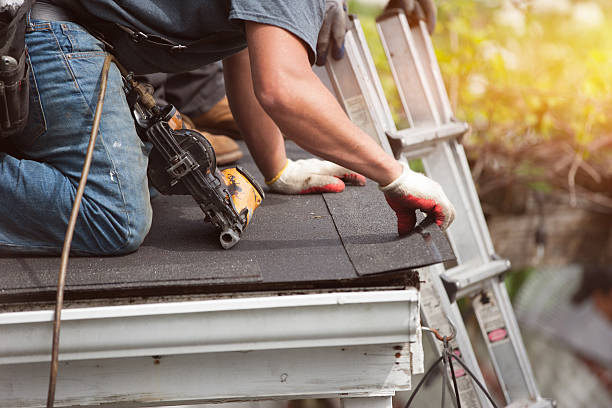 Best Roof Restoration Services  in Bridgman, MI