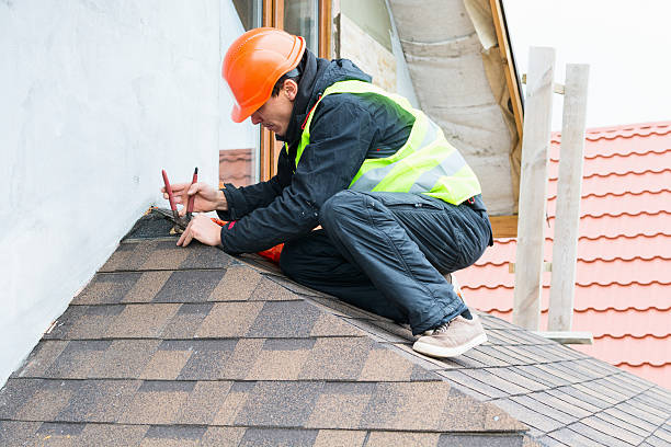 Best Metal Roofing Contractor  in Bridgman, MI