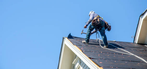 Best Roof Restoration Services  in Bridgman, MI